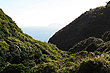 Paekakariki Hill photo