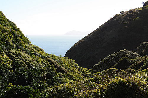 View of Tasman Sea & Kapiti Island photo