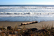 Paekakariki Beach photo