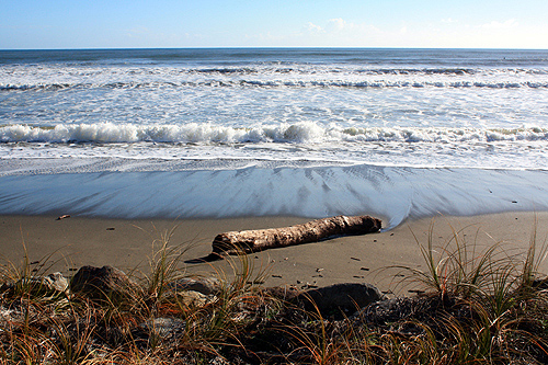 Paekakariki Beach and Debri photo