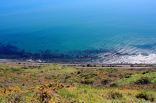 Paekakariki View photo