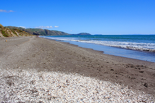 Queen Elizabeth Park Beach photo