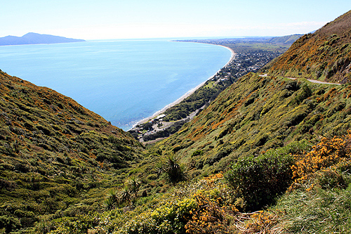 Kapiti Coast View photo