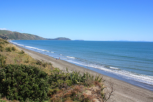 Beach View at Kapiti photo