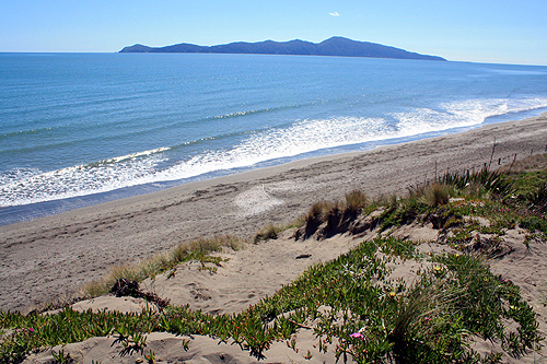 Kapiti Island and Beach View photo