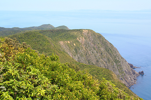 Kapiti Island photo