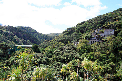 Karekare Beach Homes photo