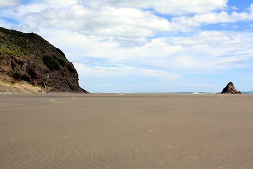 View of Karekare Beach photo