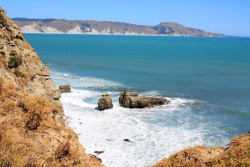 Waitaniwha Bay photo