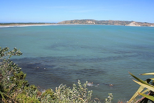 Waitaniwha Bay in Mahia