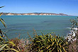 Waitaniwha Bay photo