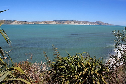 Waitaniwha Bay & Mahia Peninsula photo