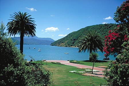 Queen Charlotte Sound photo