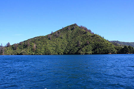 Queen Charlotte Sound Vegetation photo