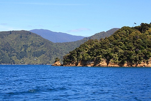 Queen Charlotte Sound photo