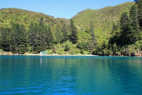 Queen Charlotte Sound photo