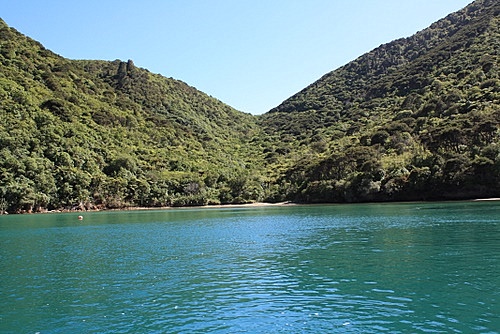 Queen Charlotte Sound photo