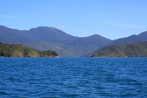 Queen Charlotte Sound photo