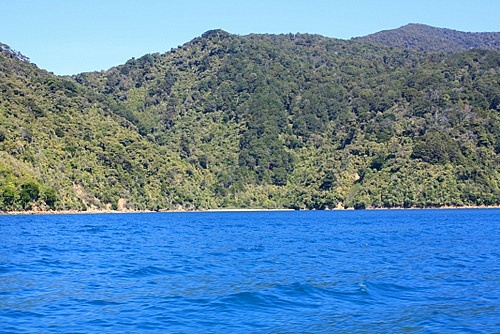 Queen Charlotte Sound photo