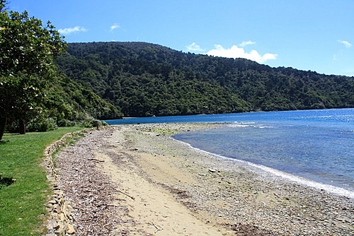 Ship Cove Coast photo