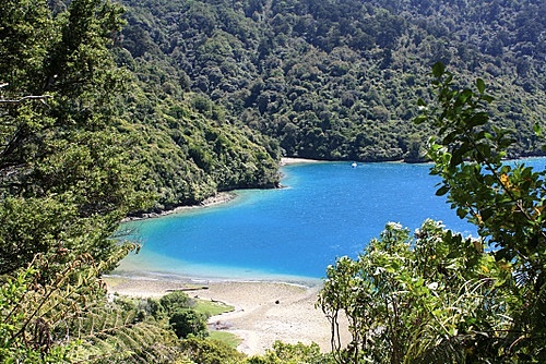 Marlborough Sounds photos