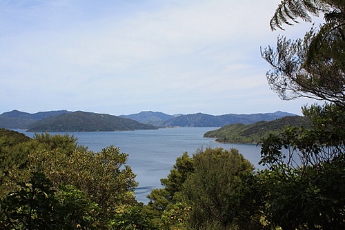 Endeavour Inlet photo