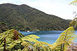 Endeavor Inlet photo