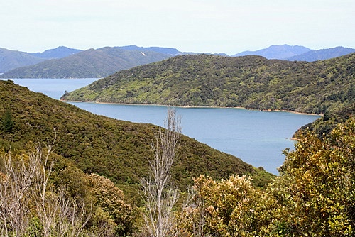 Tawa Bay photo