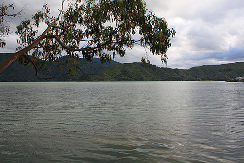 Overcast Kenepuru Sound photo