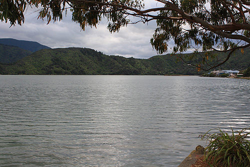 Kenepuru Sound Marlborough Sounds photo