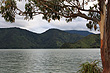 Kenepuru Sound photo