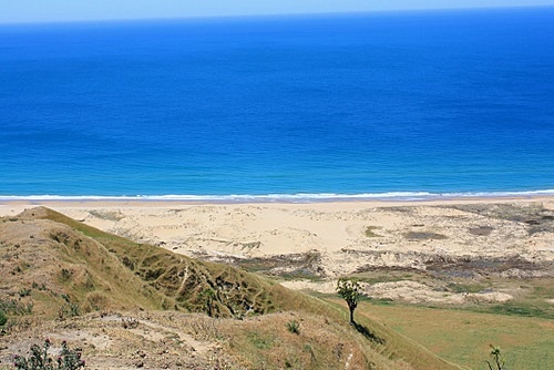 Ocean Beach View photo