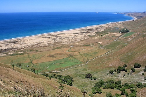 Ocean Beach View photo