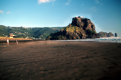 North Piha Beach photo