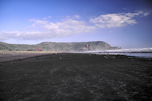 Kohunui Bay photo