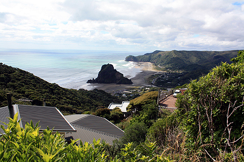 Piha View from Road photo