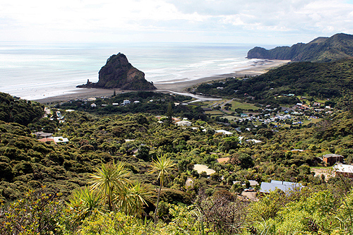 Piha Settlement photo