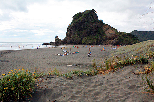 Sand Dunes at Piha photo