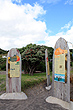 Beach Sculpture photo