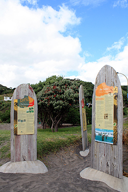 Piha Information photo