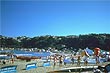 Lyall Bay photo