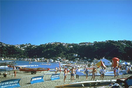 Lyall Bay photo