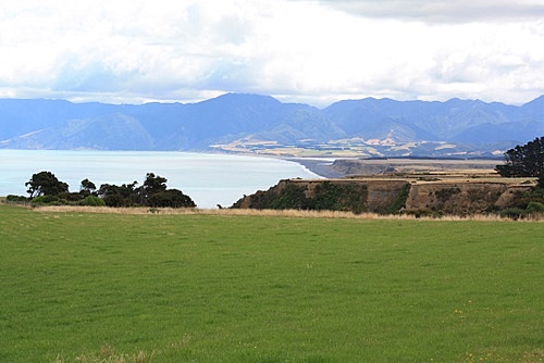 Palliser Bay photo