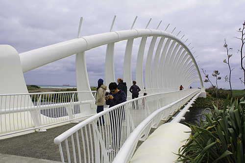 Te Rewa Rewa Bridge in Taranaki photo