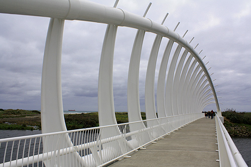 Coastal Walkway Taranaki photo