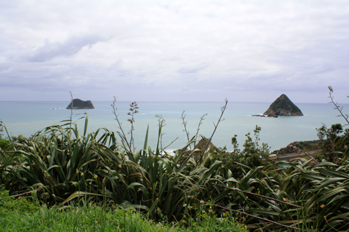 Taranaki Coast photos