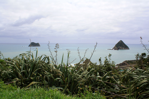 Sugar Loaf Islands photo