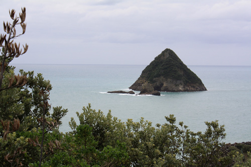 Moturoa Island Taranaki photo