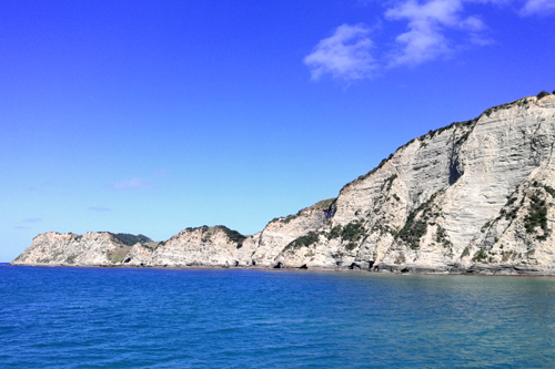 Headland at Tologa Bay photo