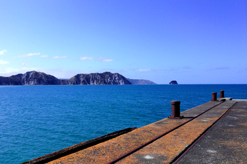 The End of Tologa Bay Wharf photo